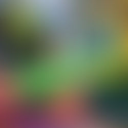 Gabriele Münter 1877 – 1962 German