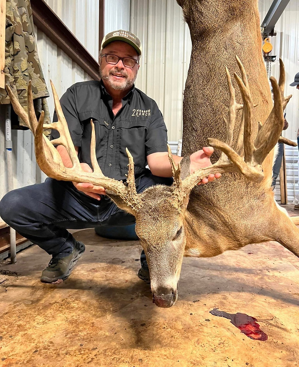 whitetail hunts