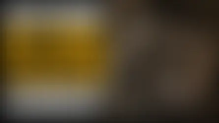 Große deutsche Titelgrafik: bestatteter Krieger mit Pferd und Frau in einer Grube, Schwert und Schild; düstere Stimmung.