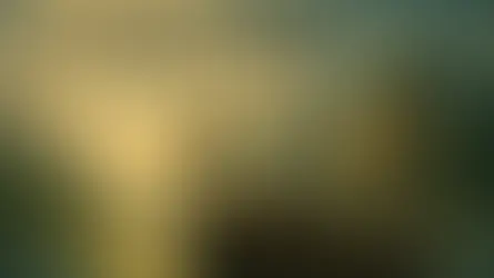 Nordische Entdecker auf der Reise nach Vinland