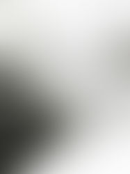 個人發展視角下的記帳士職涯養成:學習、法規與專業成長
