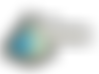 Welcome to the Carolina Holochronicles