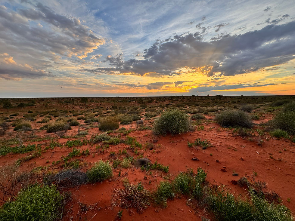 Thumbnail: Simpson Desert Night Skies