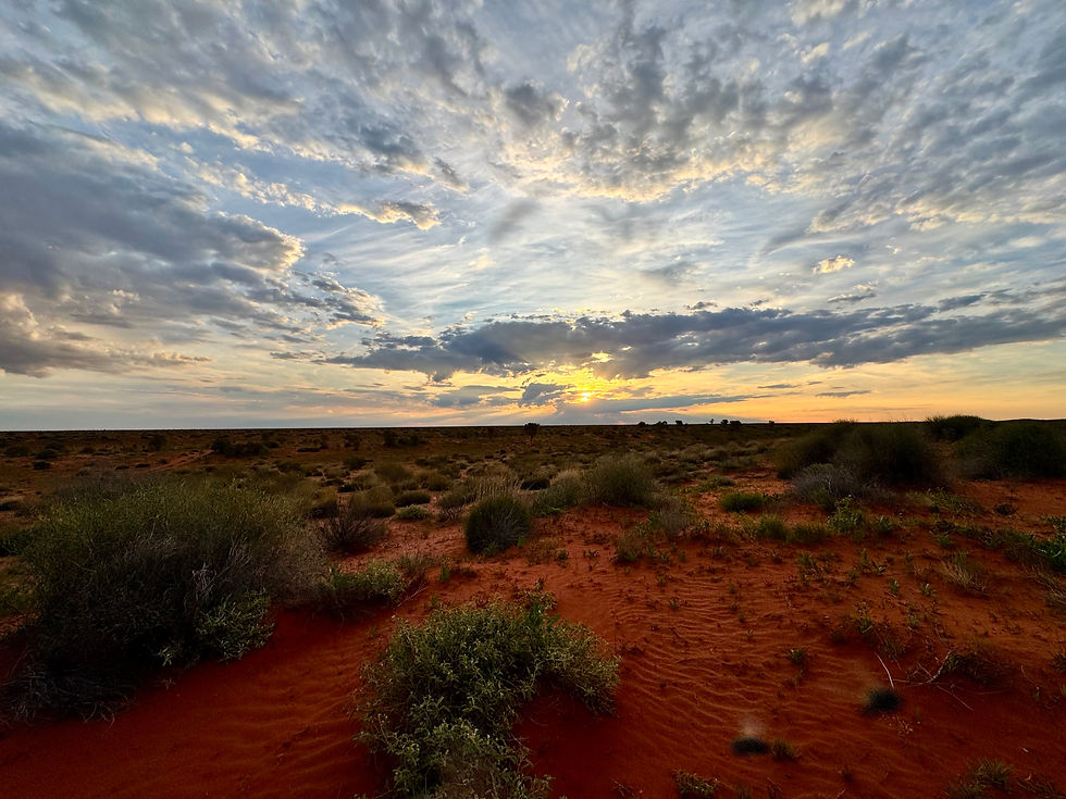 Thumbnail: Simpson Desert Night Skies