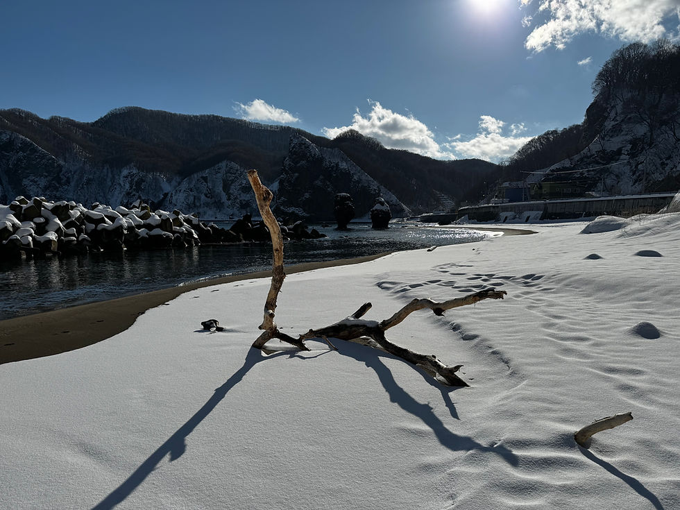 Thumbnail: Worship and Beauty