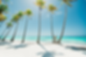 Z6N4BpbqstJ9-Qdf_punta-cana-cove.png