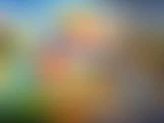 Balance 2025 y pulso del 2026: ganancias récord y el desafío de sostener la confianza