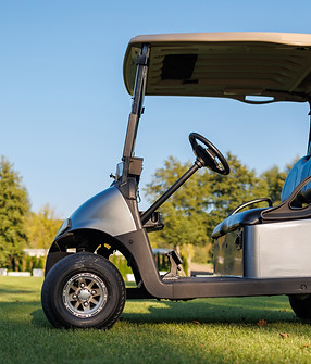 leisurely-ride-golf-buggy-amidst-greenery-2024-10-18-17-44-49-utc.jpg