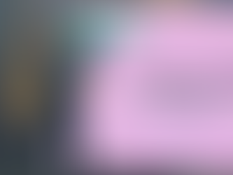 Empresarios dominicanos destacan el éxito del evento "Expansión y Evolución 2.0"