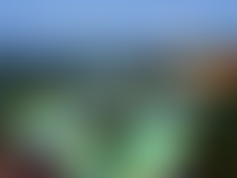 ¿Por qué los famosos chilenos están viajando constantemente a Punta Cana? ¡Secreto revelado!