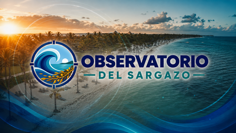 Nace el Observatorio del Sargazo de VIVO Media, una plataforma informativa en busca de soluciones
