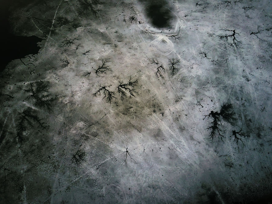 Frozen Landscape Pattern