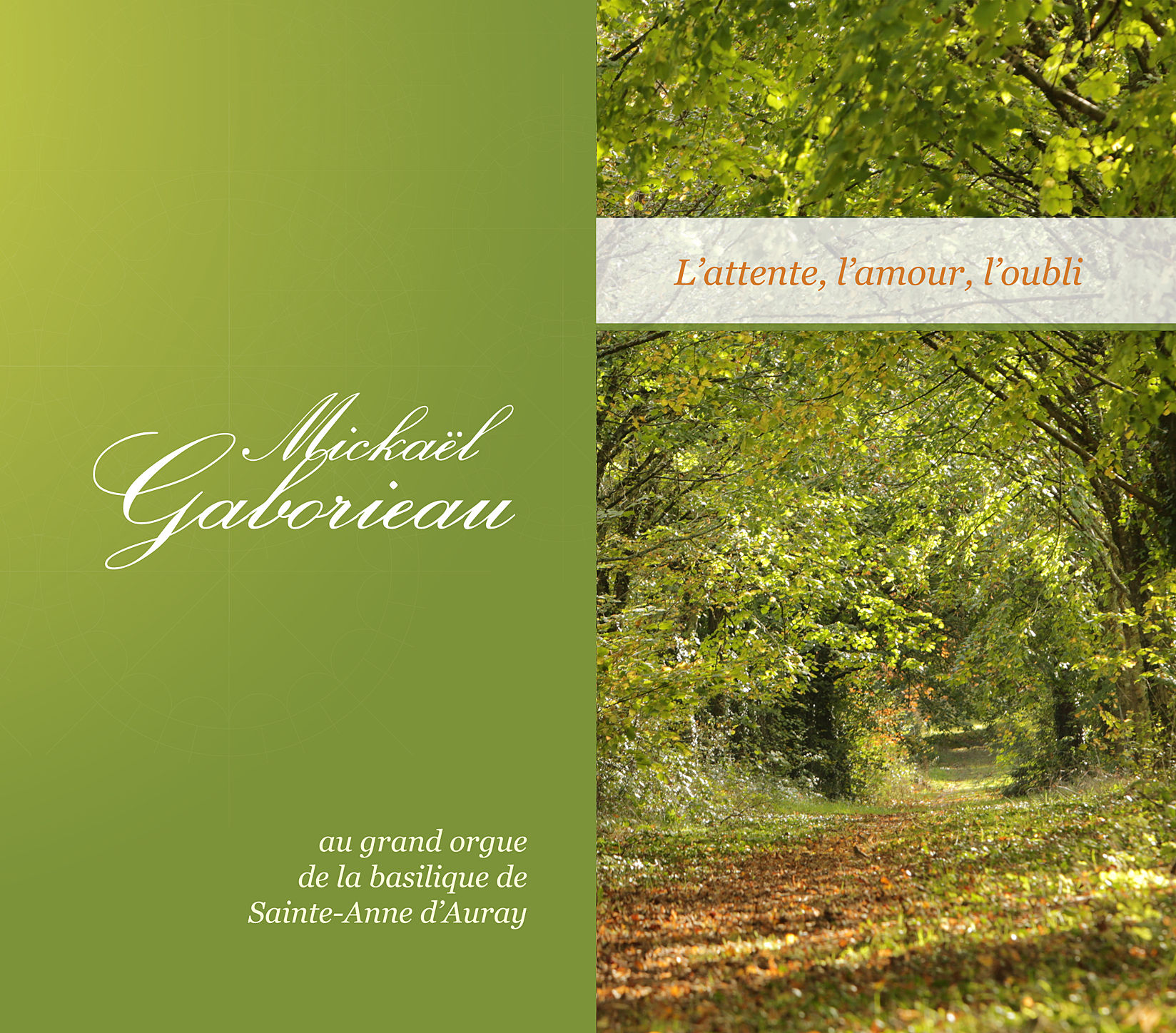 Mickaël Gaborieau - Orgue de Ste Anne D'Auray