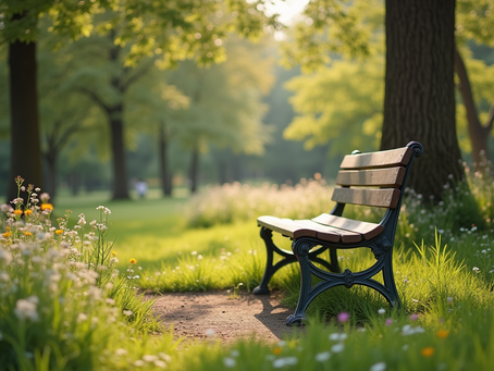 Wooden bench in a park by a tree