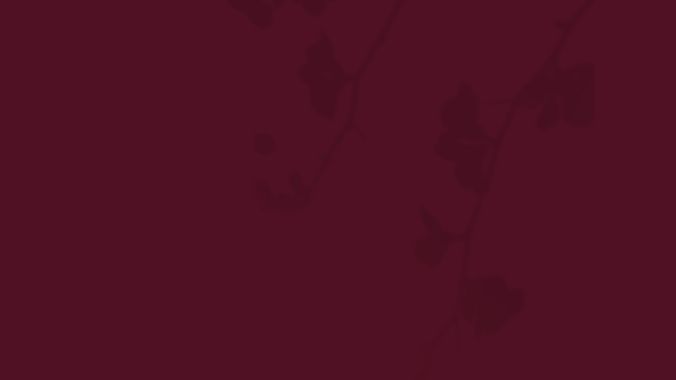 site testeeeee.png