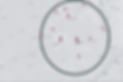 Holly Kinch Real Estate Map.png