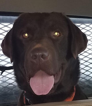 Hunter02042020 (1).jpg