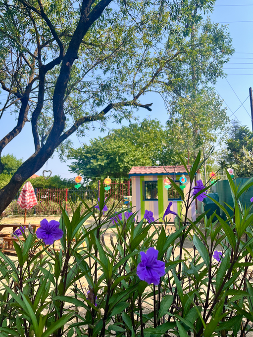 garden kindergarten babyland zoo