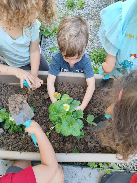 children planting flowers