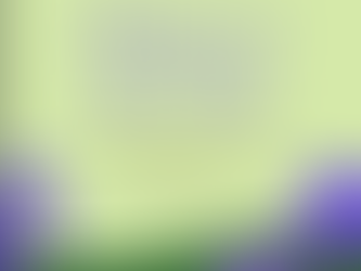 Pilates in the Park + link to sign up!