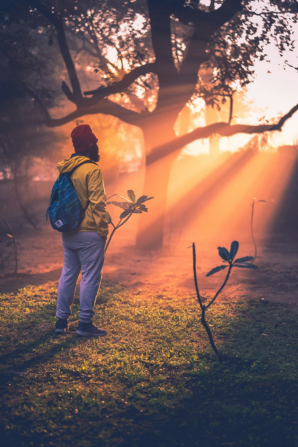 Person reflecting on types of childhood trauma and how early experiences shape adult behaviour
