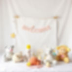 Baby toys on white backdrop for a baby welcoming party make it generic .jpg