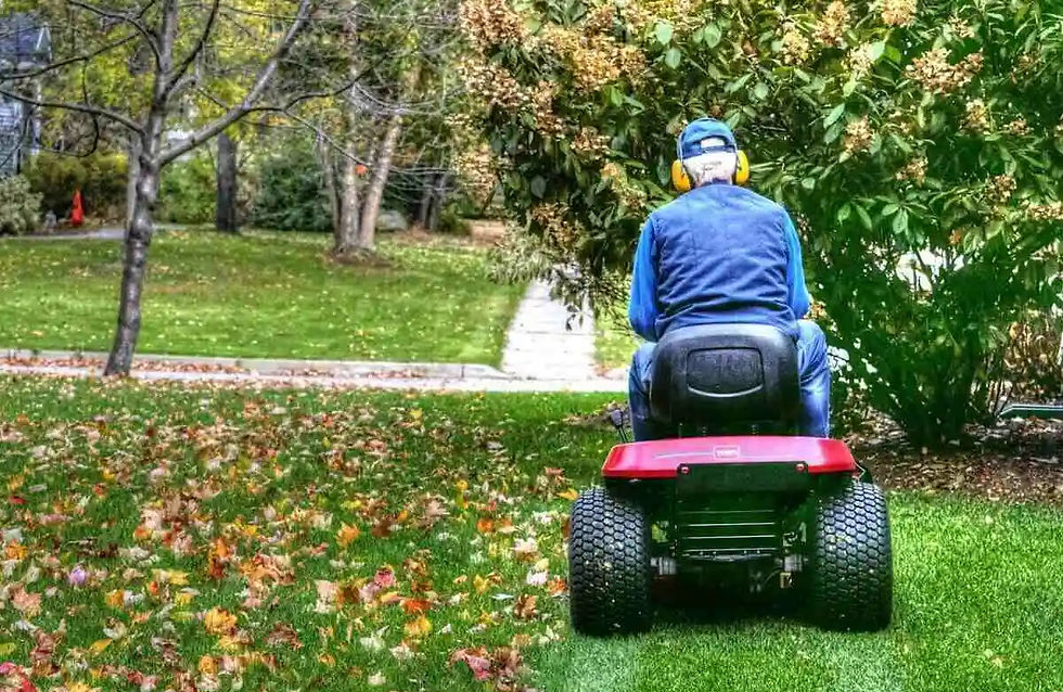 Person on a red ride-on mower cutting grass in a leafy yard. Wearing blue clothing and ear protection, surrounded by autumn leaves.