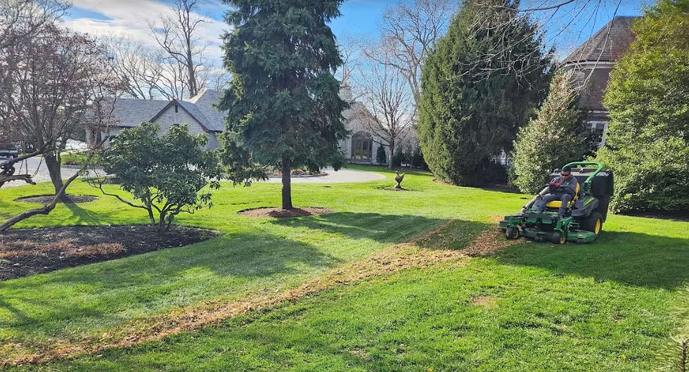 A person on a green riding lawn mower cuts grass in a well-maintained, sunny yard with trees and a house in the background.