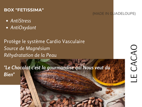 LE CACAO - L'allié
