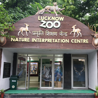 Kids_activities_at_lucknowzoo
