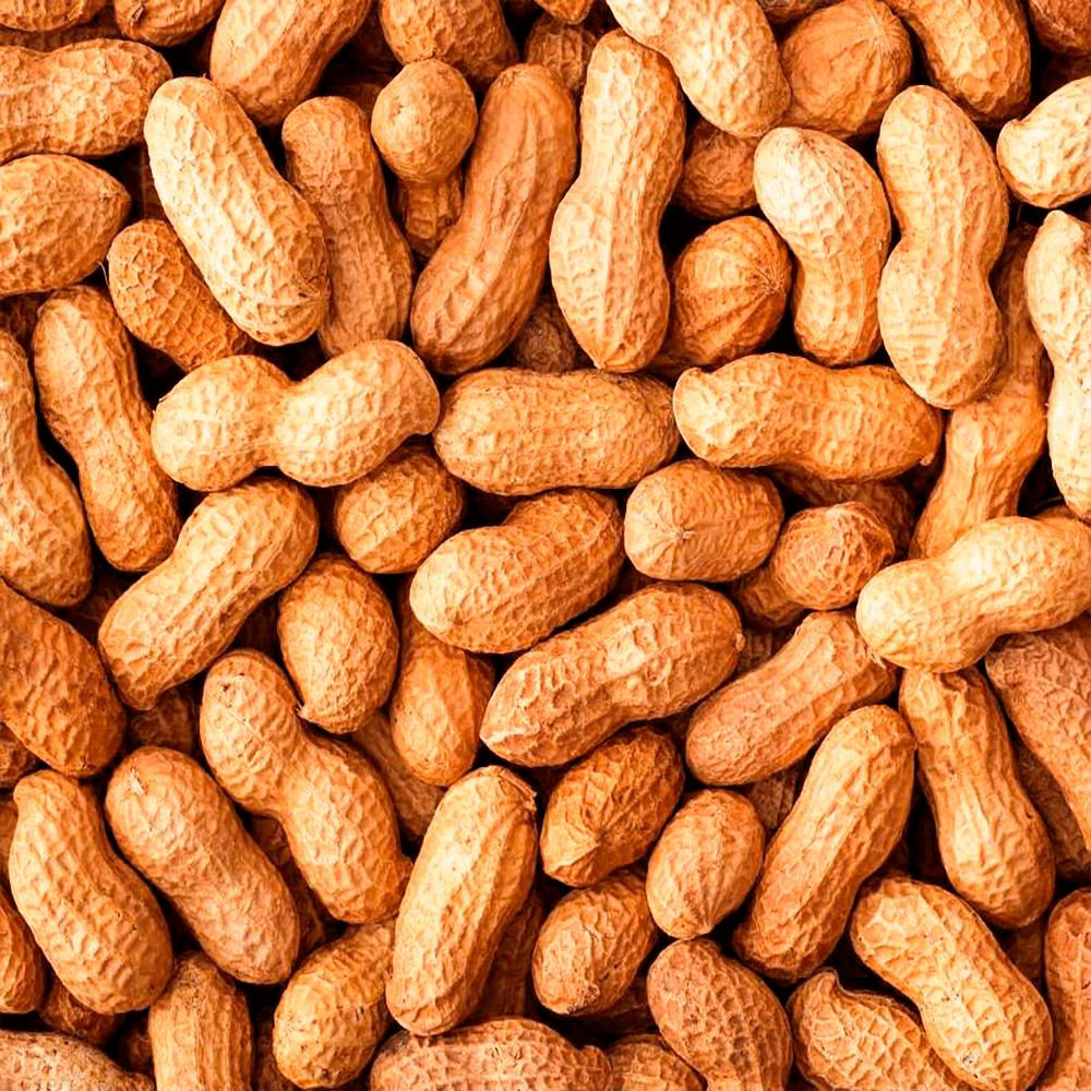 Amendoim Com Casca Orgânico (200g)