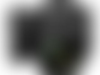 Nikon Z6III’ü duyurdu !