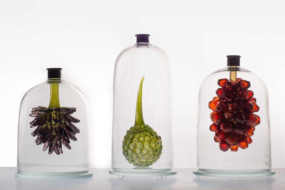 spiky thing, pod and red cluster
