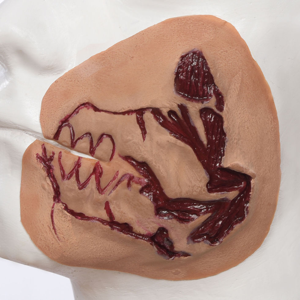 Miniaturbild: TORTURED SKIN