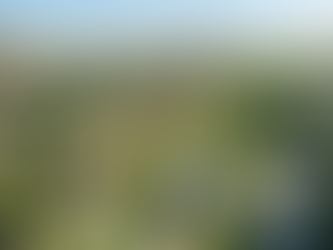 Сталість у нерухомості 2025. Чим відрізняється житловий і комерційний ринок — і що це означає для України