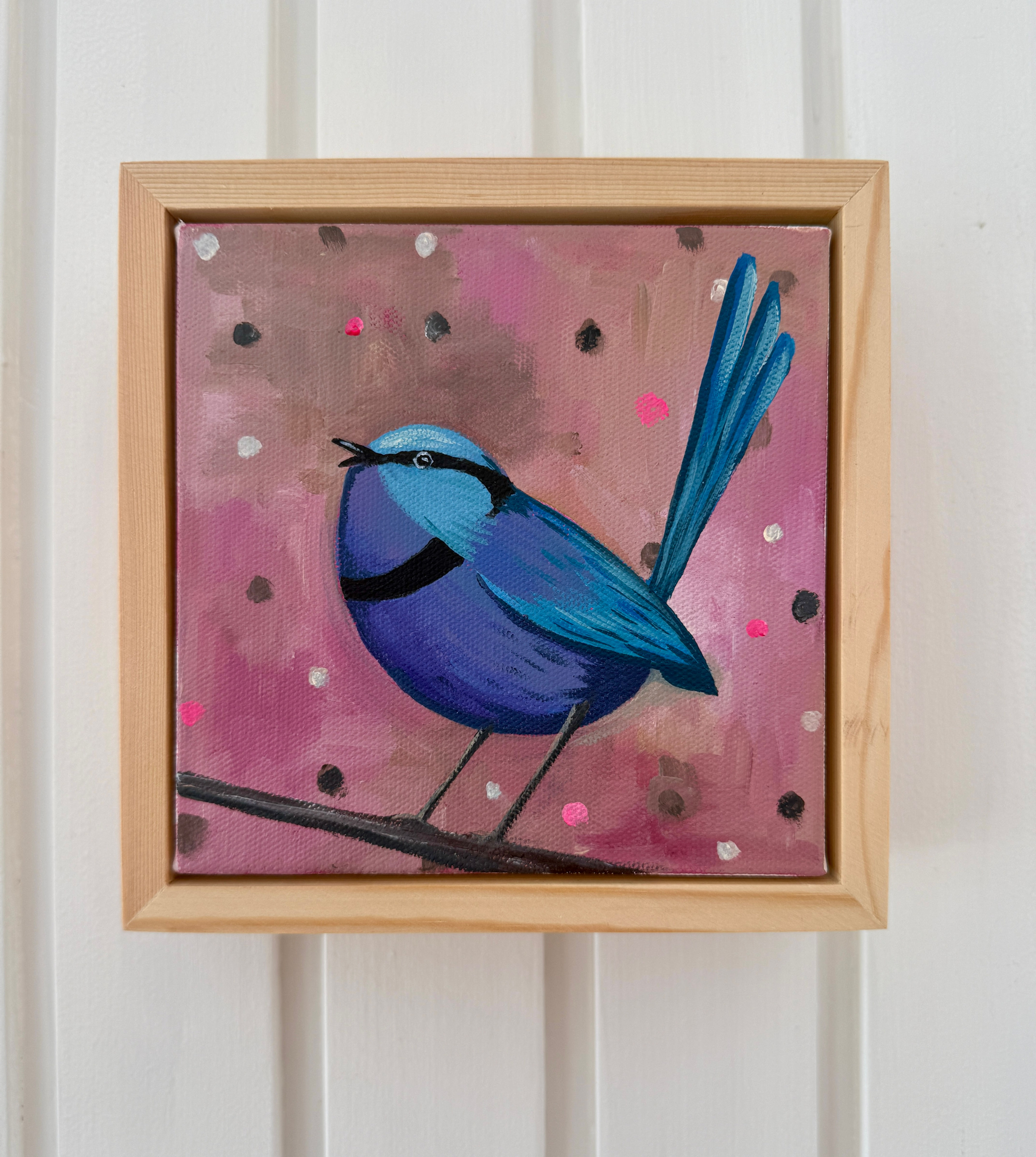 Blue Fairy Wren singing