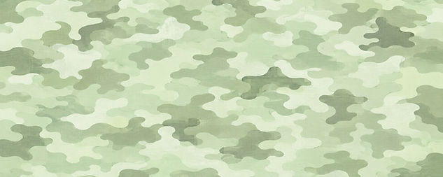 camouflage bg.jpg