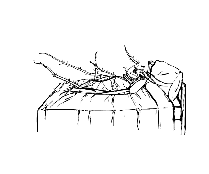 metamorfosis kafka