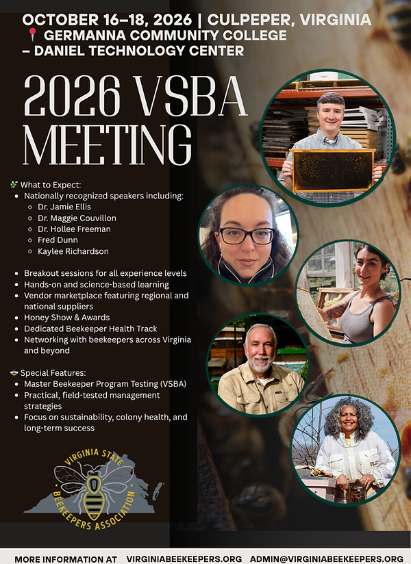 QUARTER PAGE VSBA.png