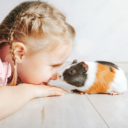 Guinea Pig 101: Everything First-Time Owners Need to Know