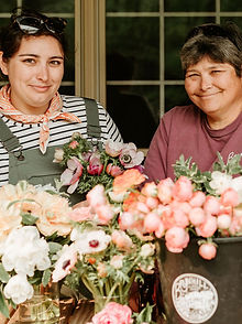 _MG_6602 (2)_edited.jpg