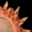 Thumbnail: Orange-Red Original Sunflower