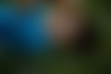 11/27/2016 - Seth on Thanksgiving