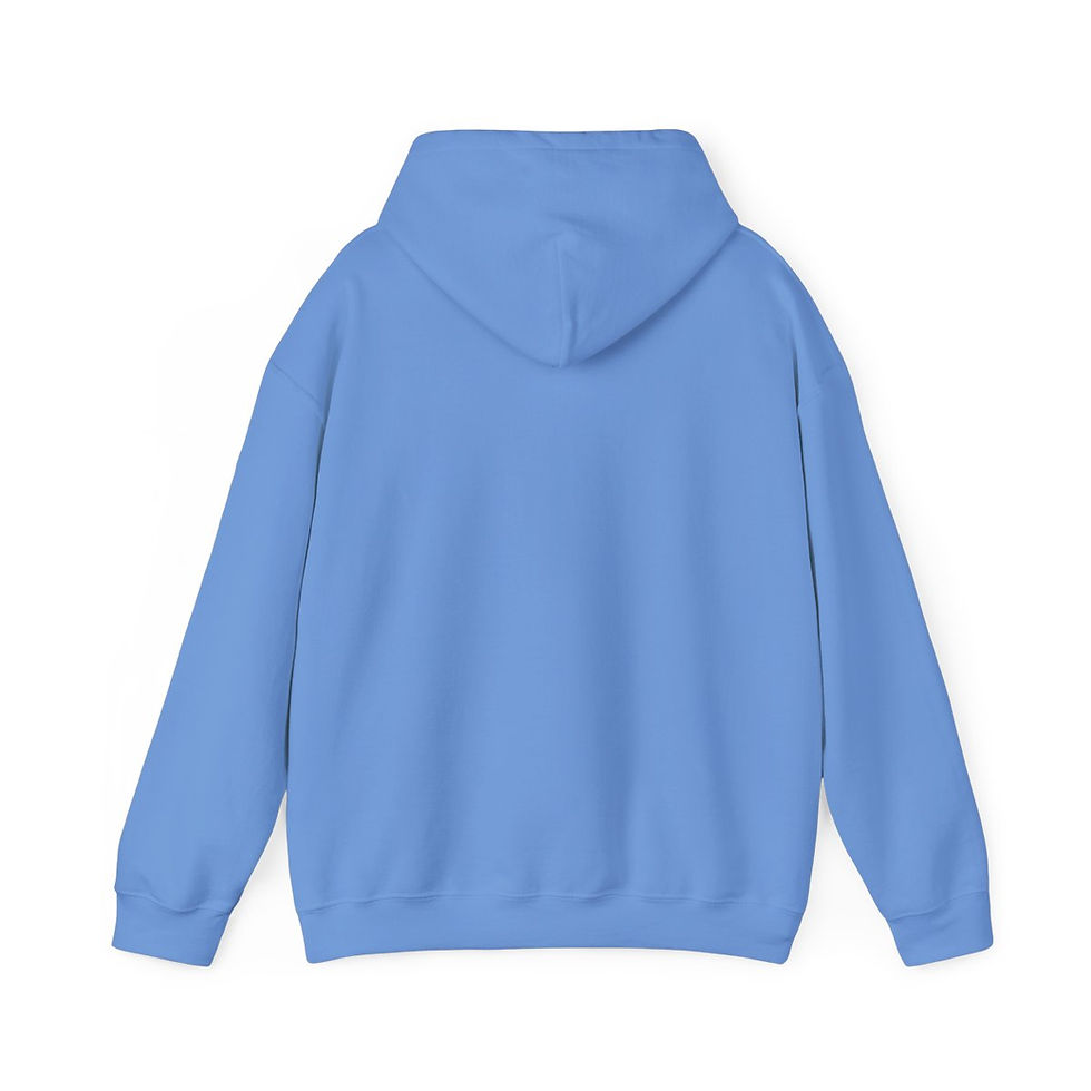 Thumbnail: Literacy & Justice for All | Adult Hoodie Sweatshirt