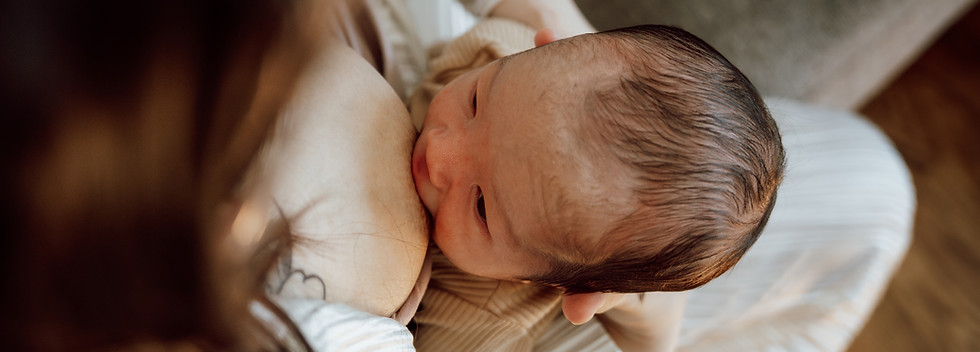 yiranding-yOWUAKYk46Y-unsplash%2520copy_
