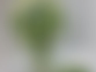 ＨＡＰＰＹ　ウエディング　(*^。^*)