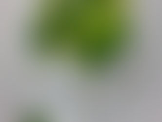 結婚式のブーケのご依頼を頂きました!(^^)!