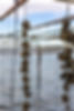AdobeStock_464823398.jpeg