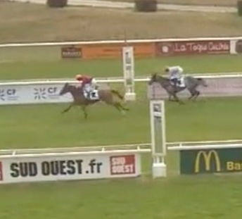 Prixdelahorse Tracker – Sierro Dino