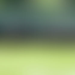 Rose de Mai Stakes - Statistics